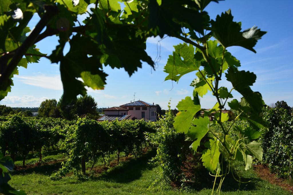 Le Stanze Di Bacco Villa Monteveglio Luaran gambar